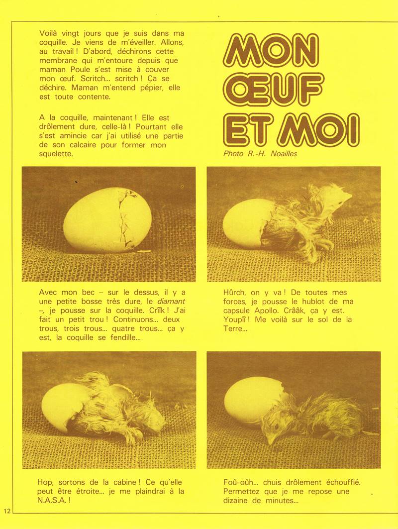 Castoret E81 déc 1979 Page 6
