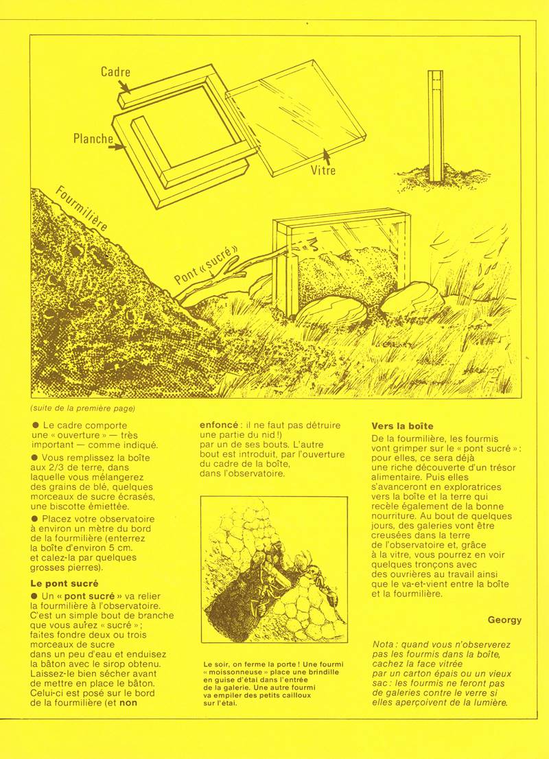 Castoret E88 avr 1981 Page 3