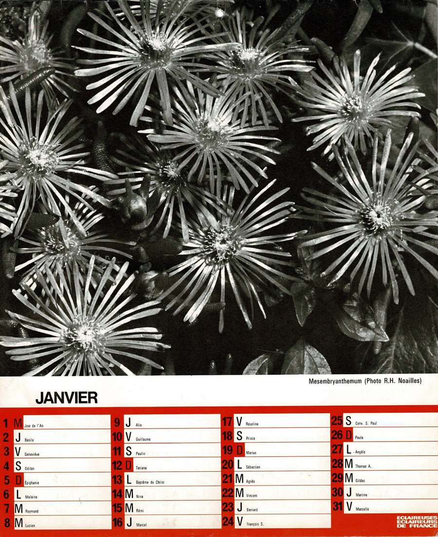 1975 Calendrier EEDF Page 03