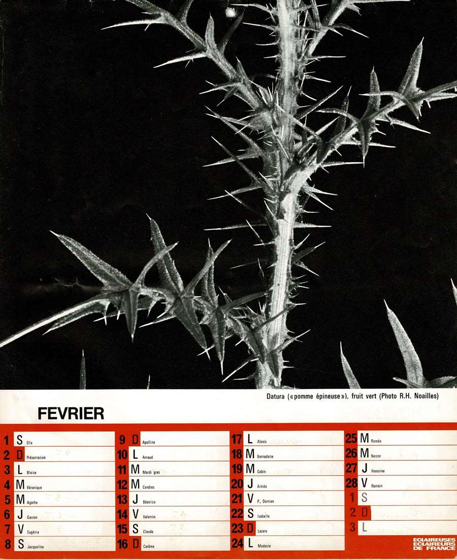 1975 Calendrier EEDF Page 05