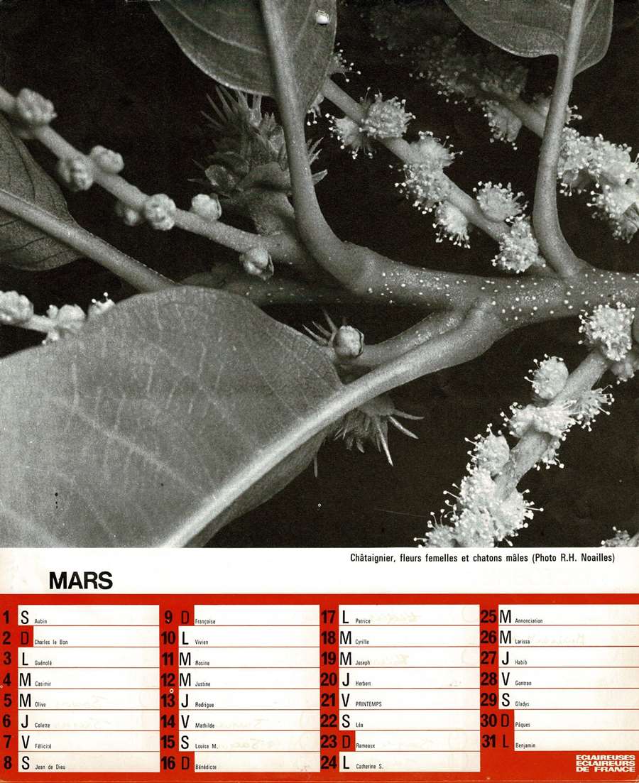 1975 Calendrier EEDF Page 07