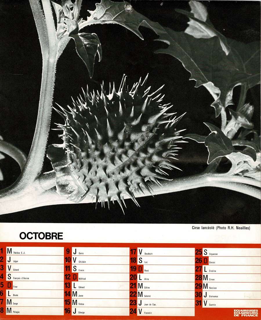 1975 Calendrier EEDF Page 08