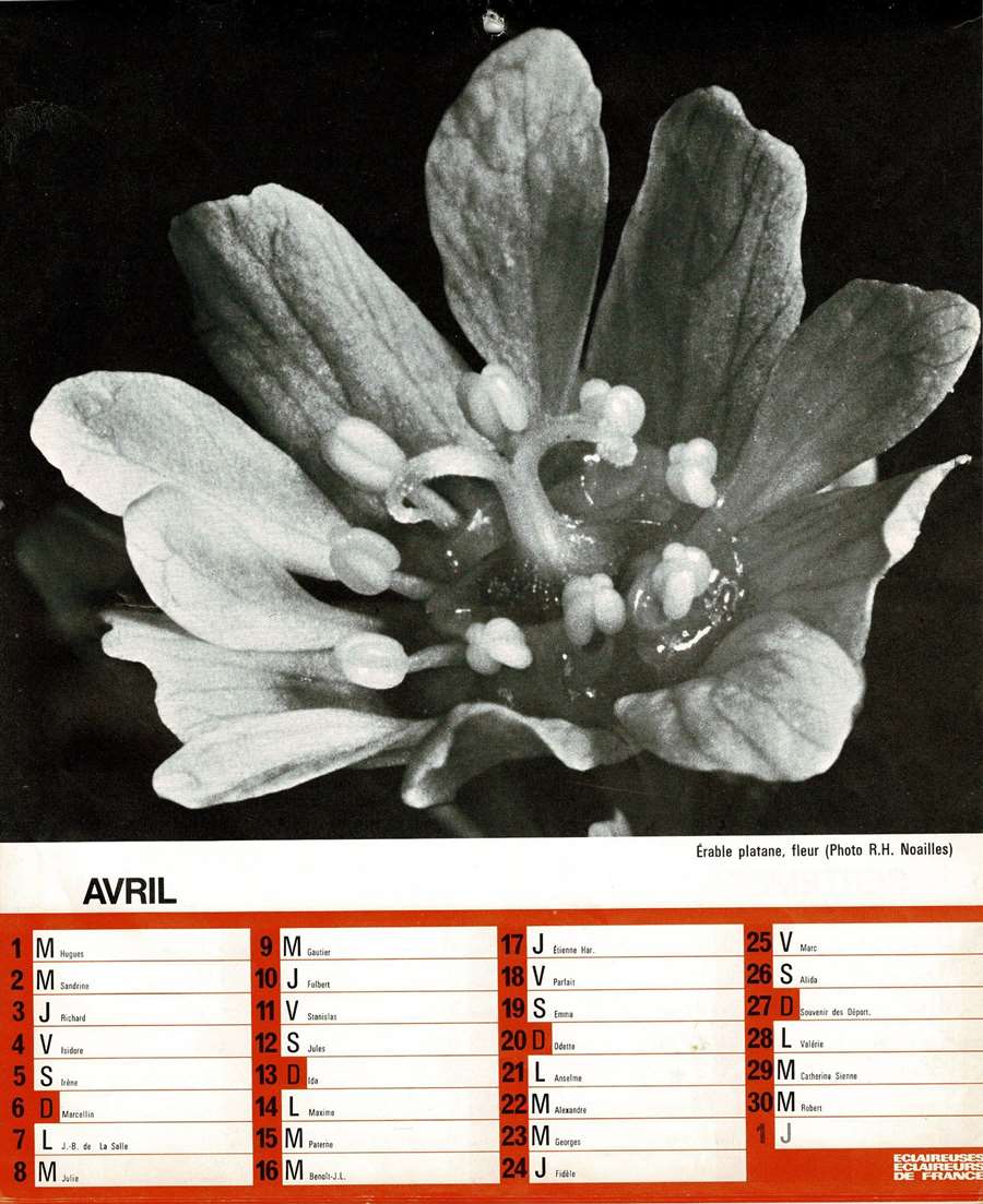 1975 Calendrier EEDF Page 09