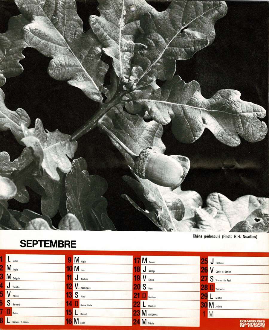 1975 Calendrier EEDF Page 10