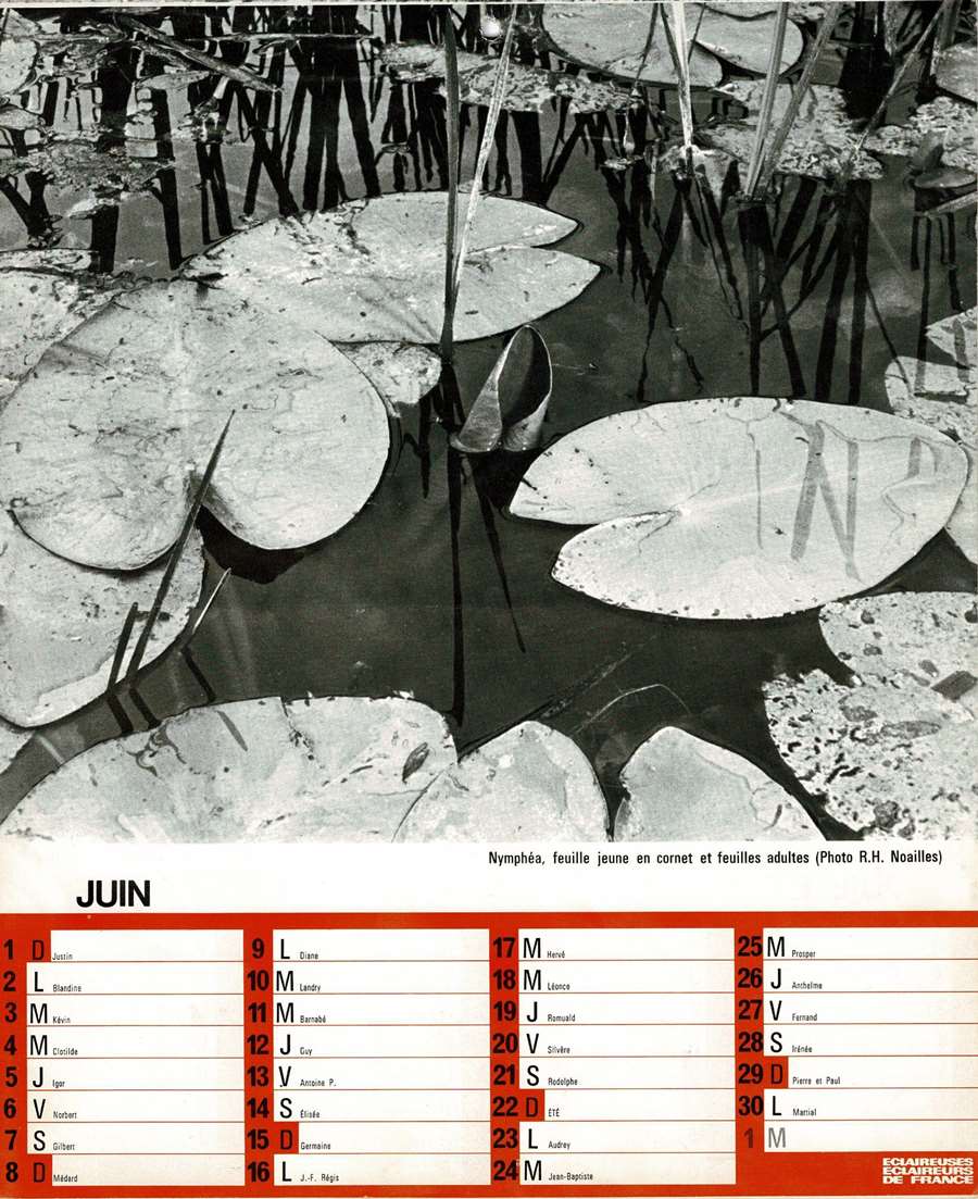 1975 Calendrier EEDF Page 13